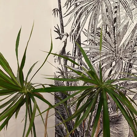 Apartmán Charming In Private At Graca